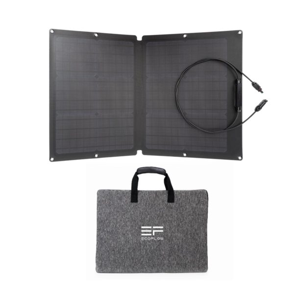 EcoFlow 60W Portable Solar Panel - Image 2